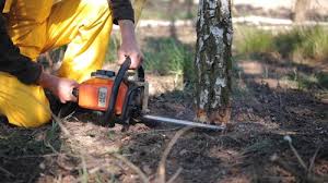 Best Commercial Tree Services  in Scotts Hill, TN