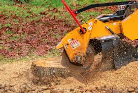 Best Stump Grinding and Removal  in Scotts Hill, TN
