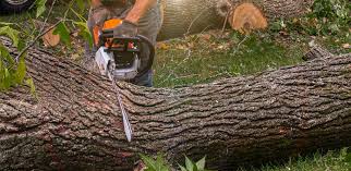 Best Lawn Irrigation Installation and Maintenance  in Scotts Hill, TN